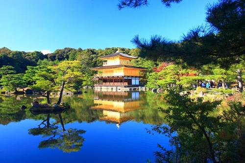 春节期间日本东京旅游比较合理的行程安排? -