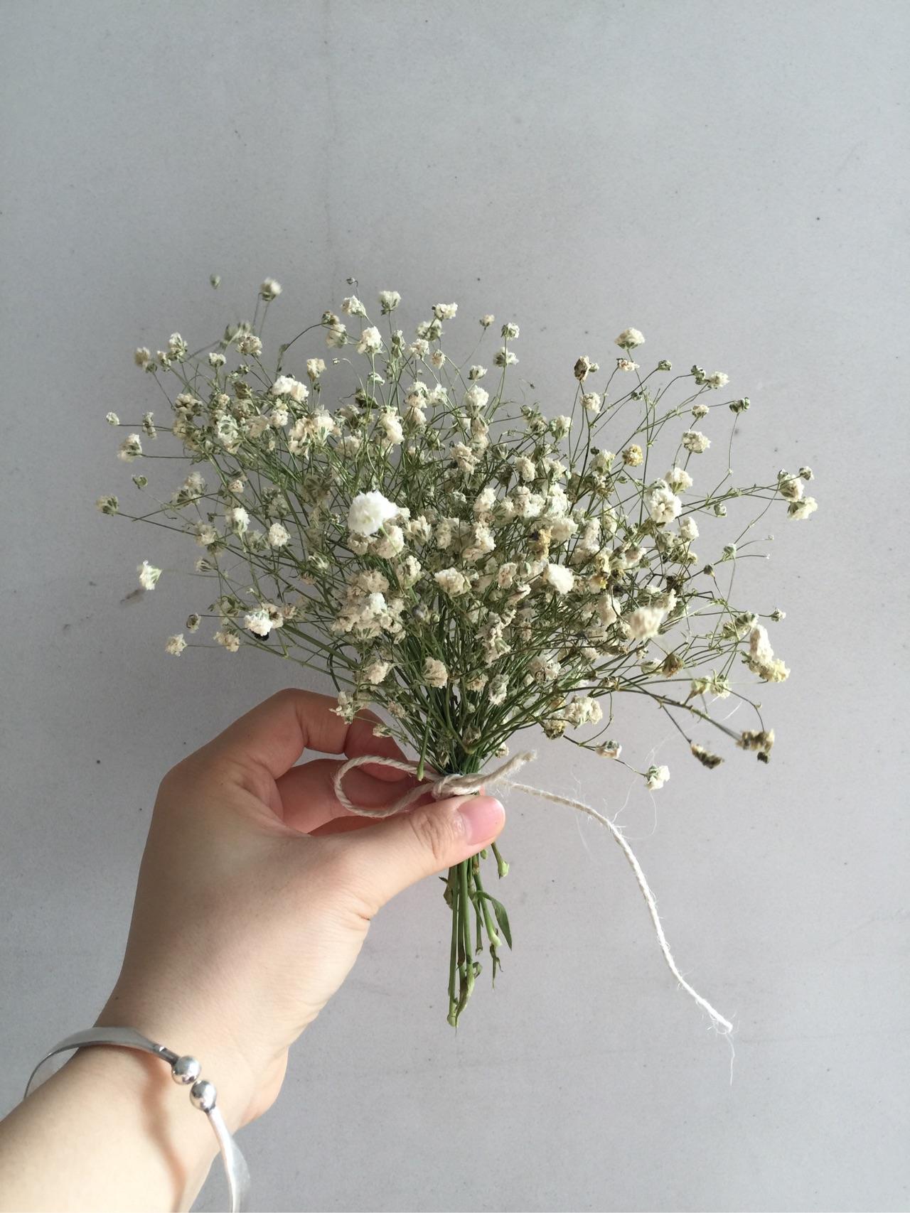 大家知道怎么把鲜花做成干花长久保存吗? - sh