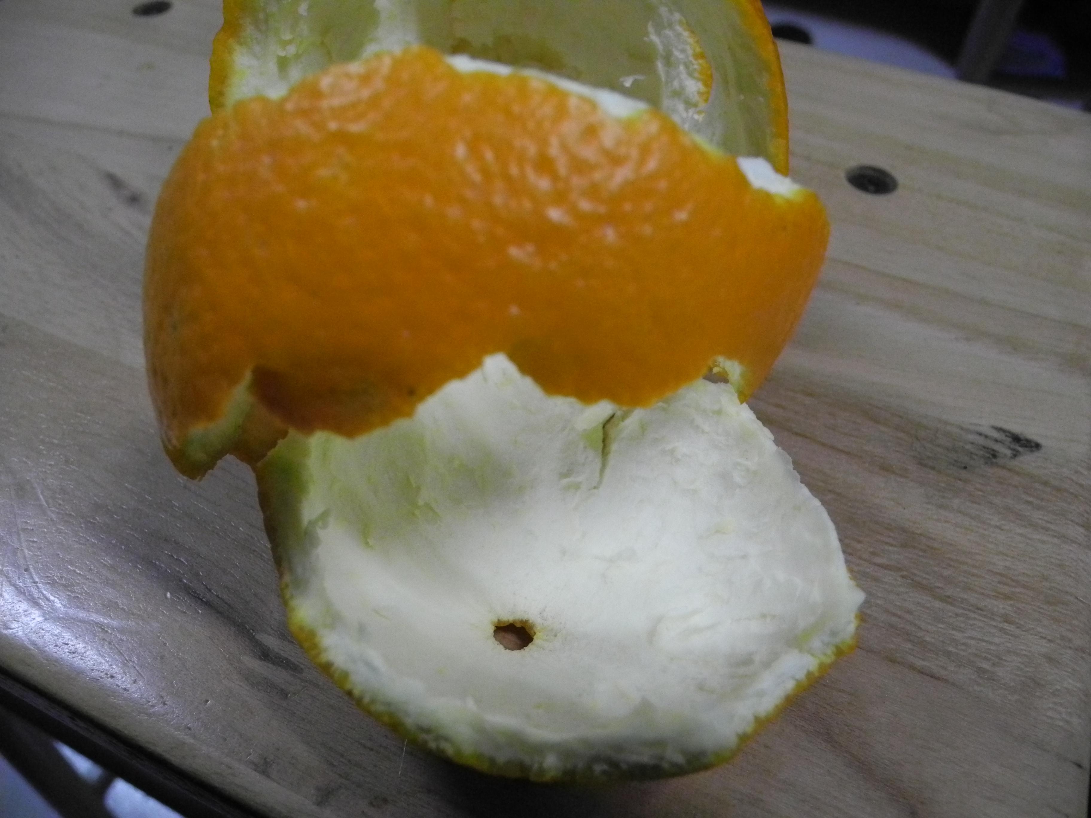 巧剥橙子皮怎么做_巧剥橙子皮的做法_豆果美食