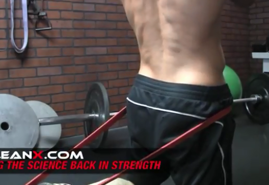 有哪些运动是适合女生在家里的力量训练? - 健