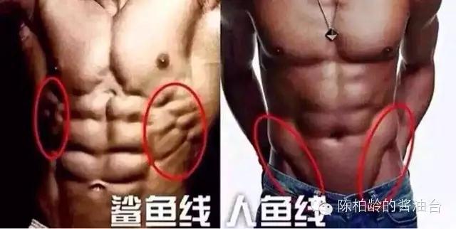 人鱼线马甲线,没有你想的那么负责 - 知乎