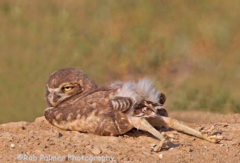照镜子发现自己有明显的泪沟纹跟鼻沟纹,也就
