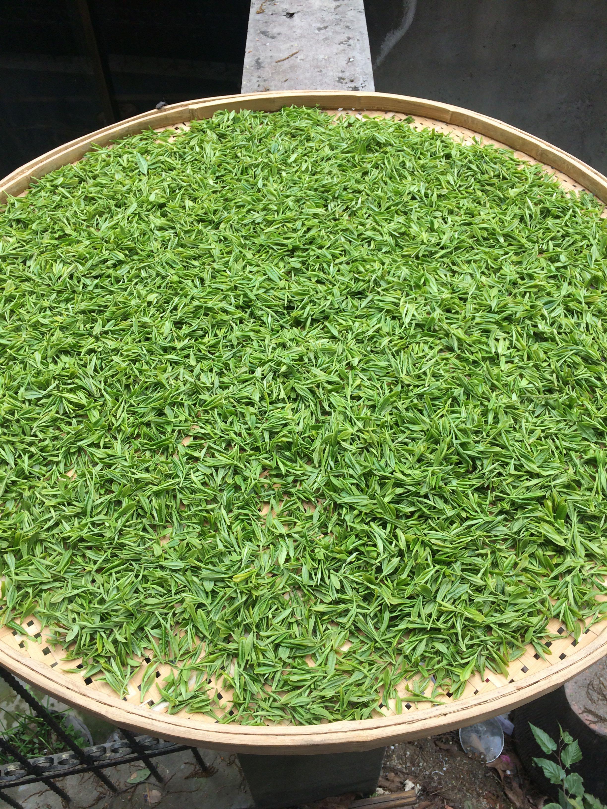 杭州哪里买龙井茶好? - 野人花园的回答 - 知乎