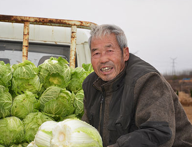 面包板可以切菜吗 Csdn