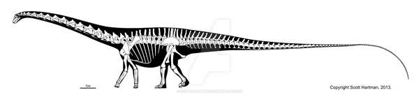 卡内基梁龙  diplodocus carnegii