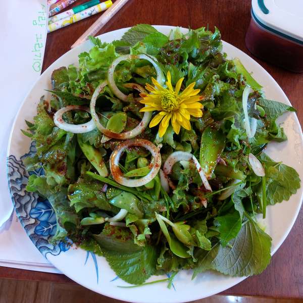 韓式沙拉小蘿蔔泡菜 大頭菜泡菜 辣椒拌大醬 沙拉去年我們吃頓