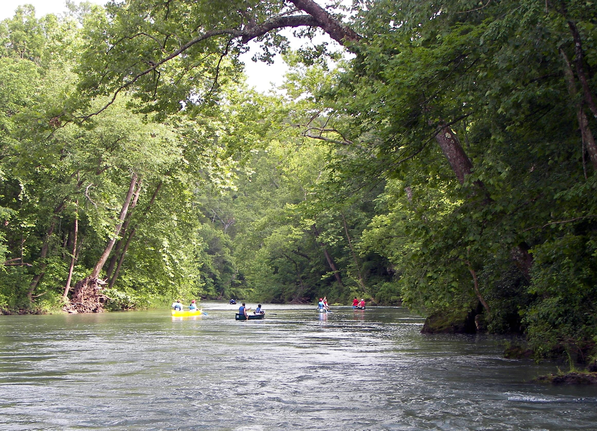 Бурная горная река терек. Current river. Самая бурная река в мире. Река с быстрым течением. Течение реки.
