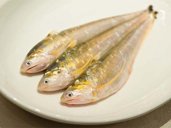 刀鱼的鼻子 河豚的皮 这两样奇葩的食物可是鲜中极品 知乎