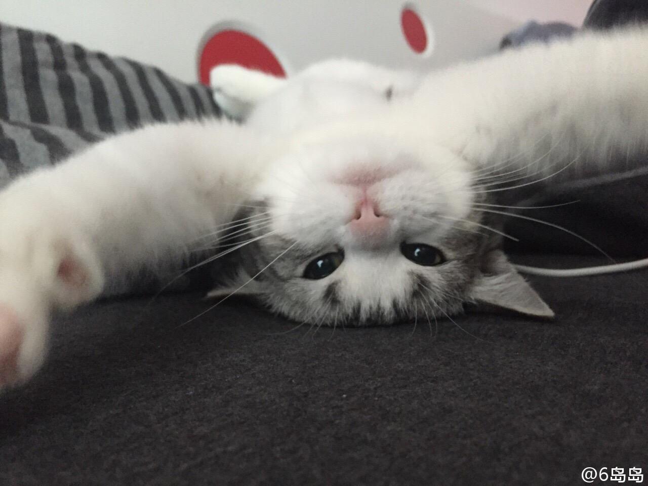 飞机上的空姐英语水平怎么样? - 小炒肉的回答