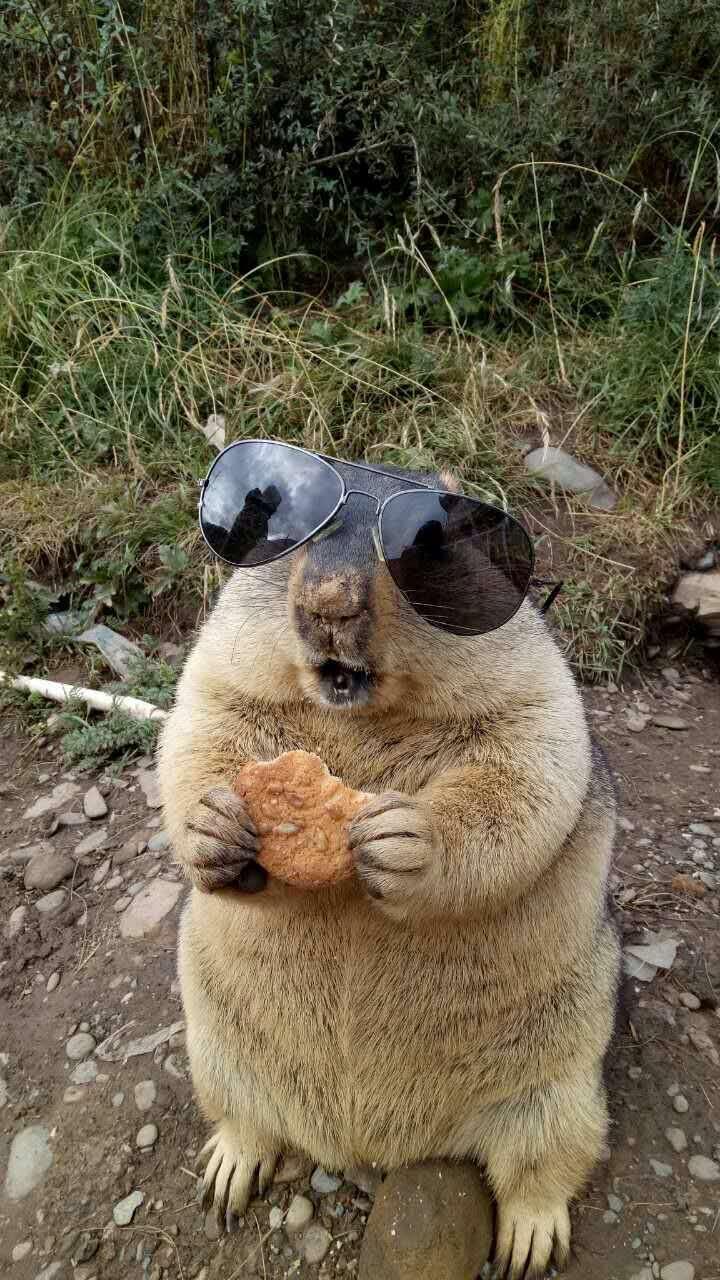 搦管操觚 答过的问题 - 知乎