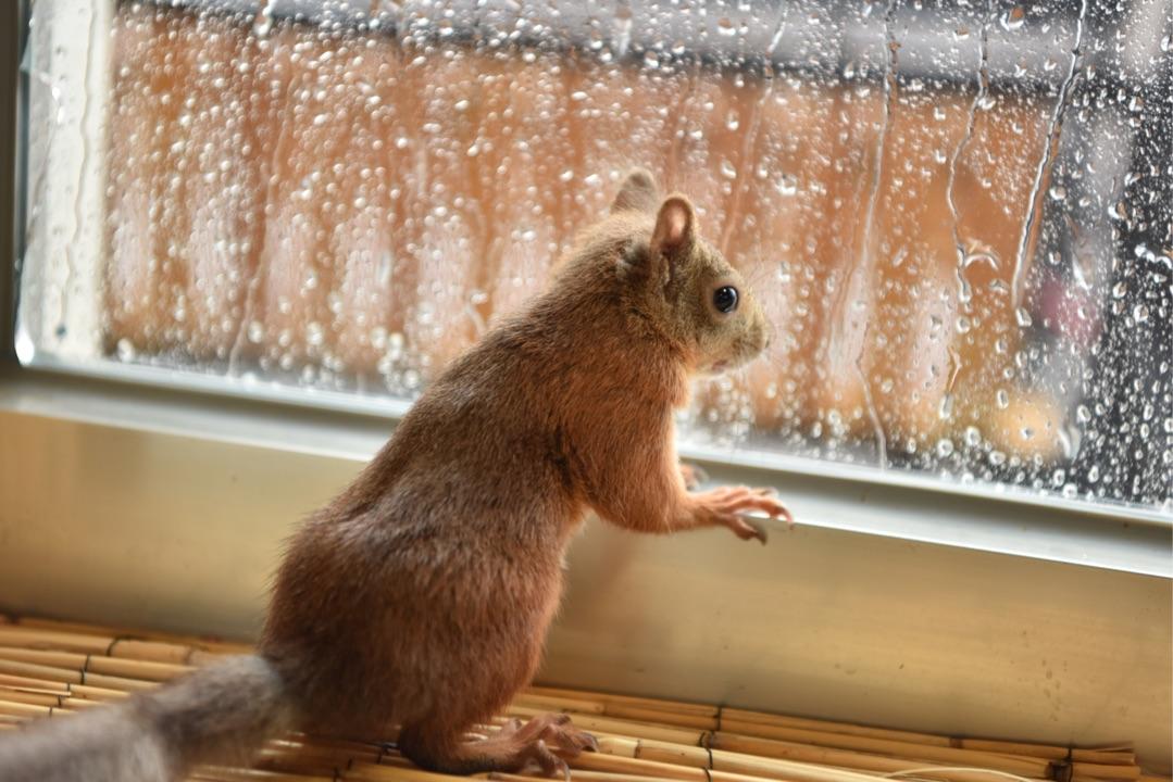 赞同超过1000的回答 - 收藏夹 - 知乎