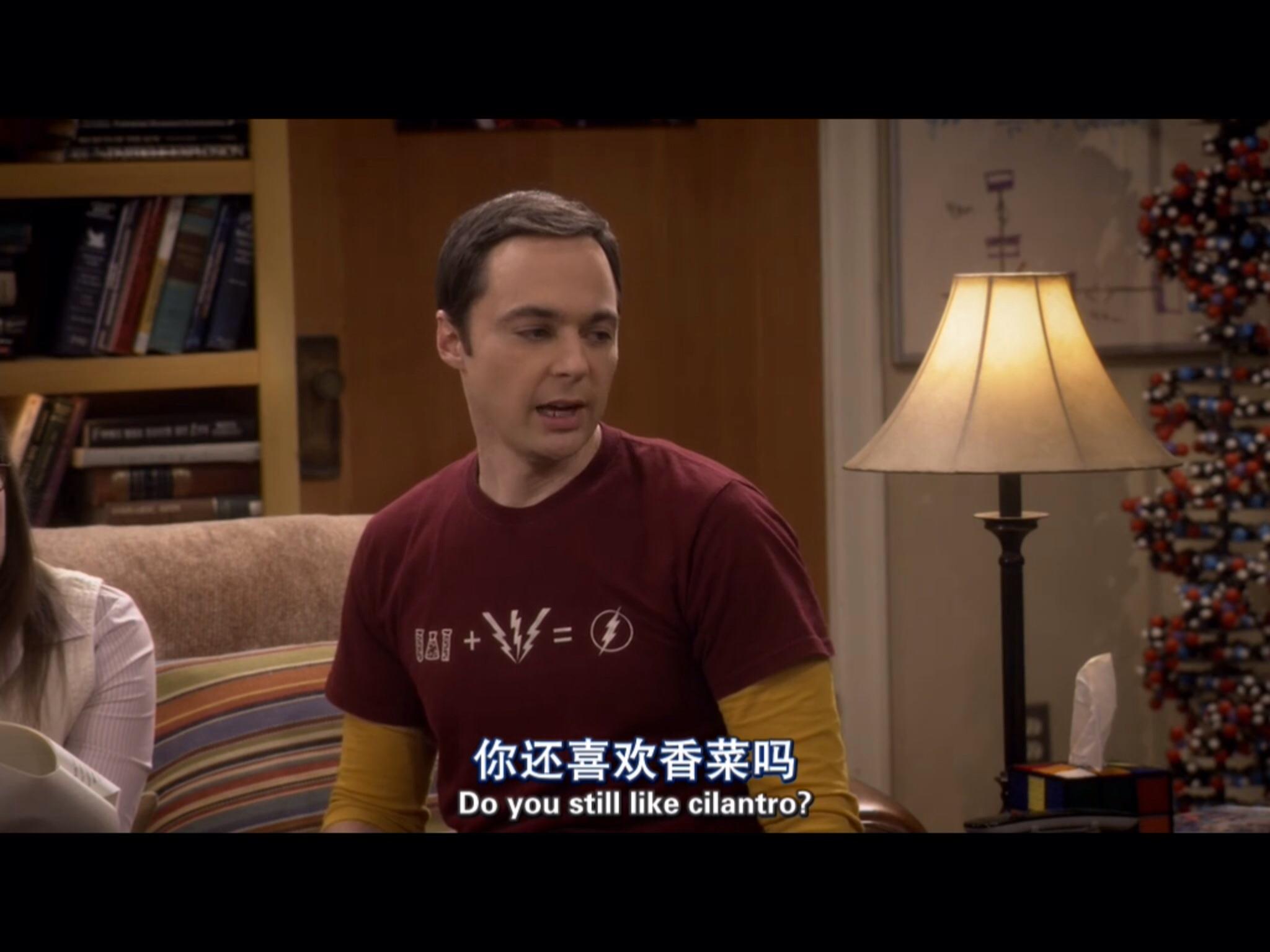 为什么有点心疼《生活大爆炸》第九季里的she