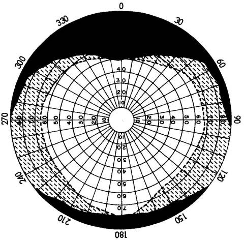 人的视野是什么形状