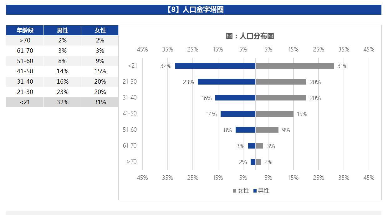 excel 人口金字塔_人口金字塔