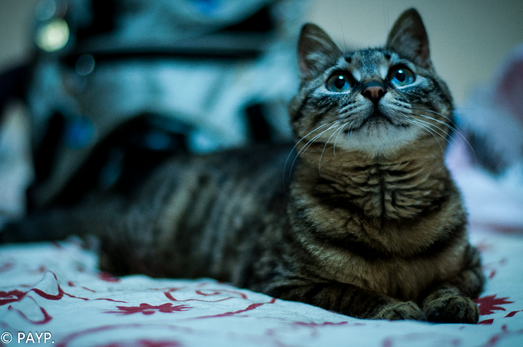 女生喜欢一个男生的时候眼神是什么样子?