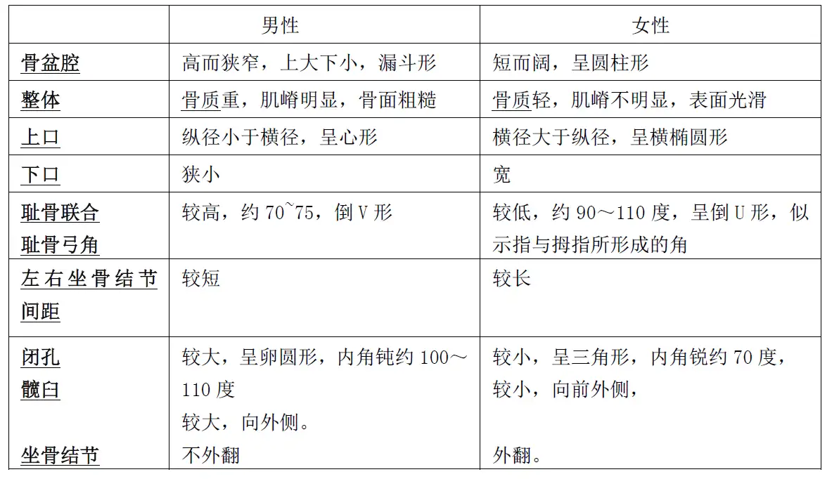 法医学中骨骼的性别判断 知乎