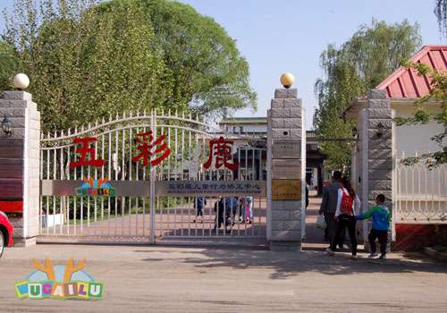 五彩鹿北京天通苑校区