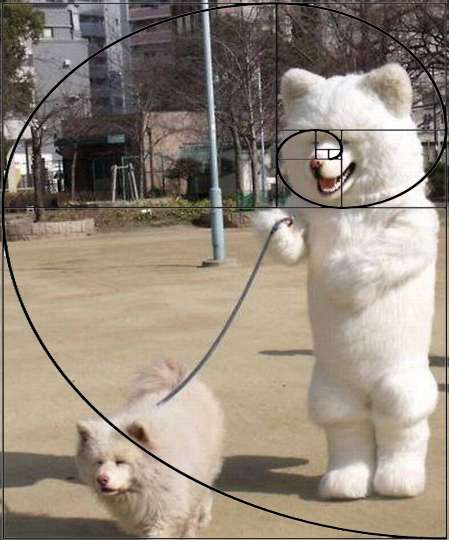 怎样利用ps创造《琅琊榜》的里面那样的黄金螺旋构图?