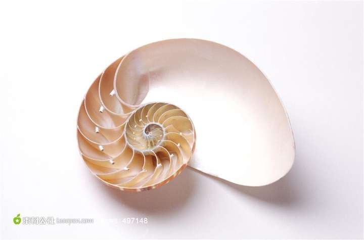 利用几何图形阐述构图美的本质是否科学?