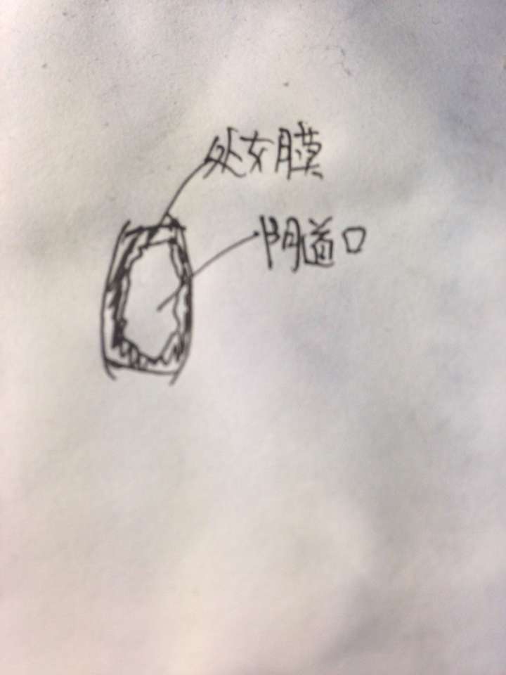 有哪些医学生知道其他学生不知道的有趣知识?