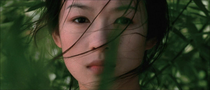 如何解读李安卧虎藏龙玉娇龙与李慕白的关系