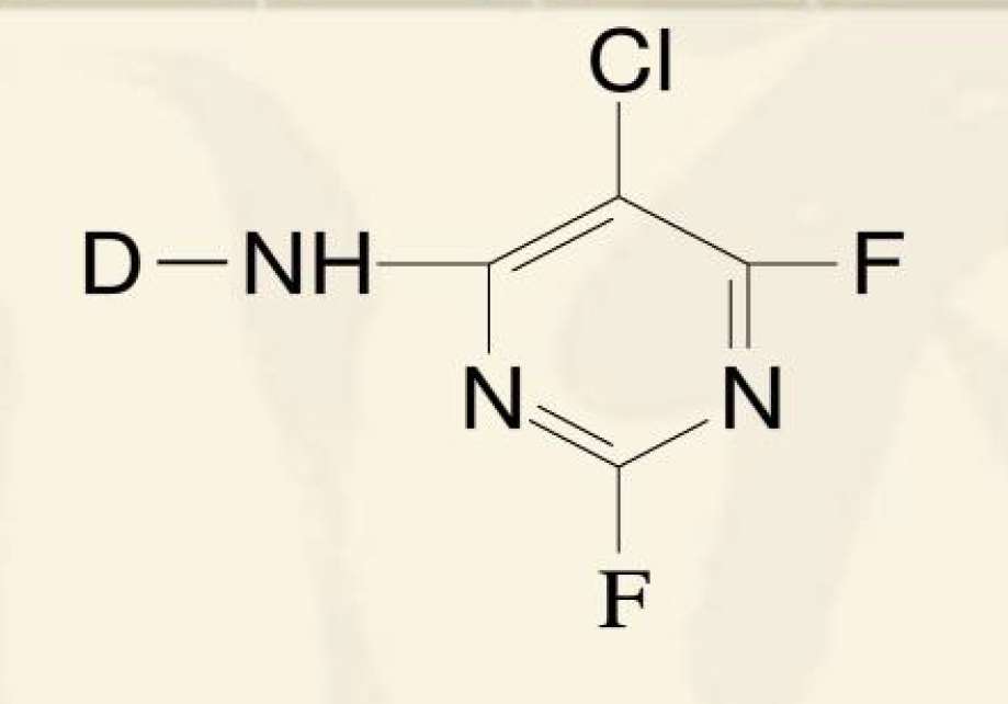 活性染料 知乎