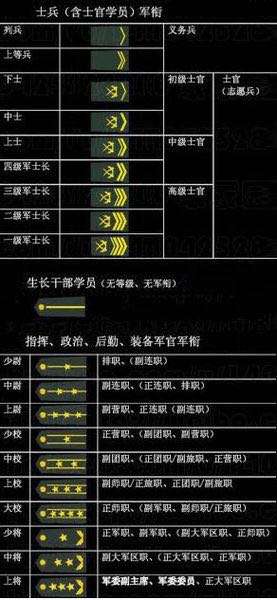这是什么系统的肩章?
