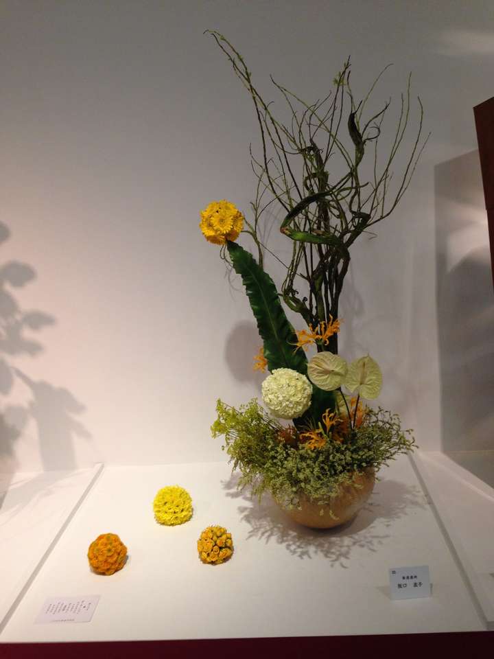 如何学习插花 知乎