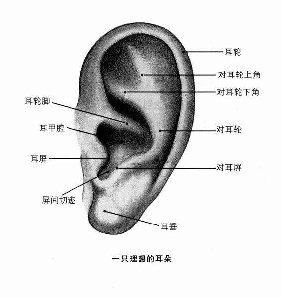 耳朵這邊按的話疼是什麼原因