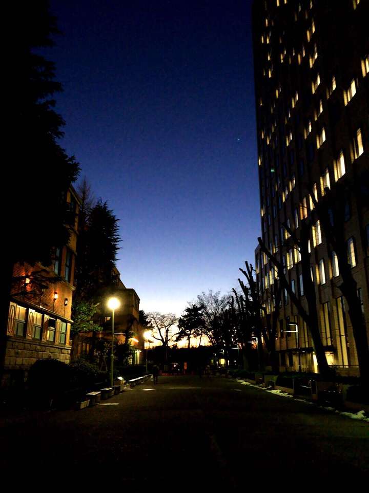 日本上智大学sophiauniversity怎么样