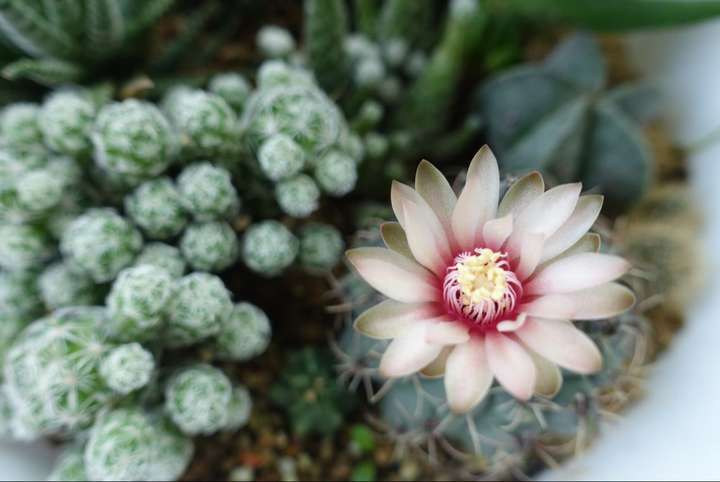 什么情况?不是有品味么?对于某些答案是不是给人一种钦定的感觉?