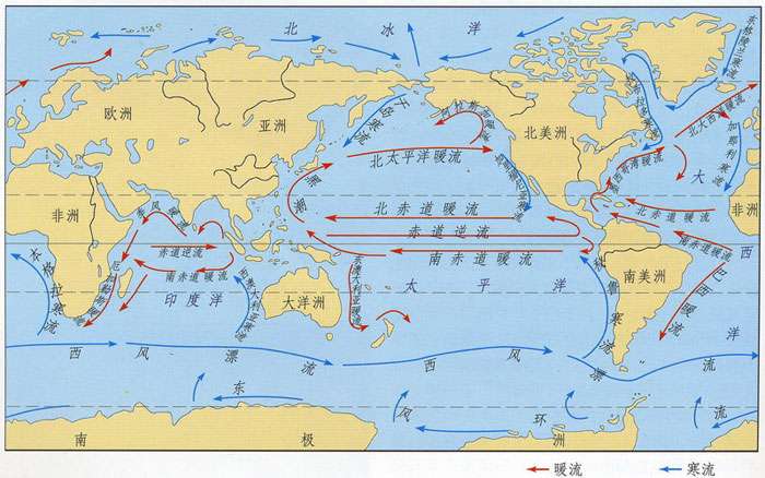 珊瑚的分布和洋流有没有相关性?