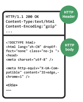 Web 建站技术中，HTML、HTML5、XHTML、CSS、SQL、JavaScript、PHP、ASP.NET、Web Services 是什么？