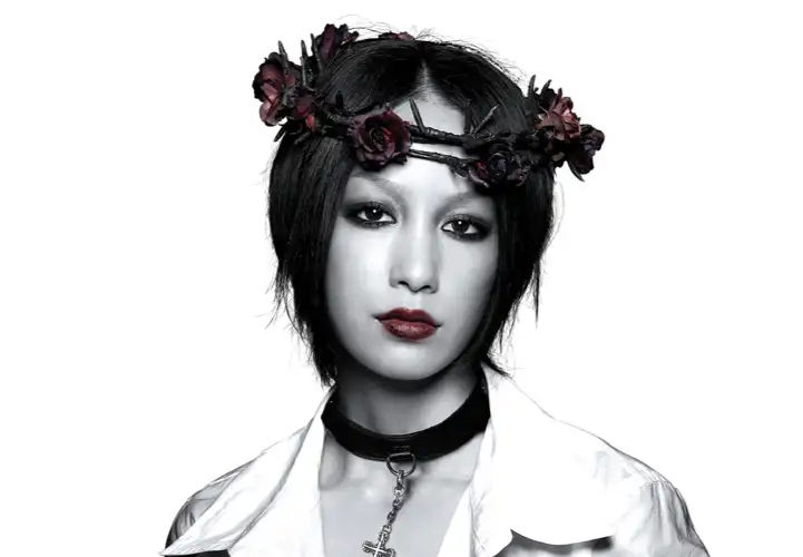 中岛美嘉 连环追尾的演唱会 知乎