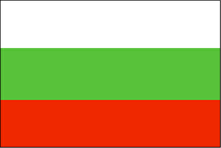绿色白色红色国旗图片