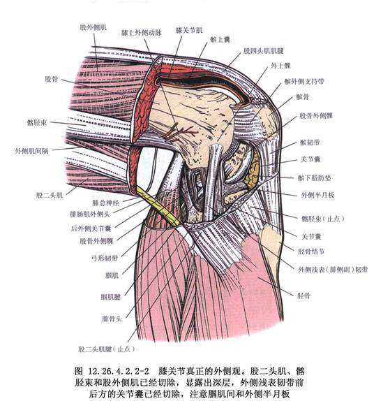 跑步后右膝盖内侧疼,多久能康复?