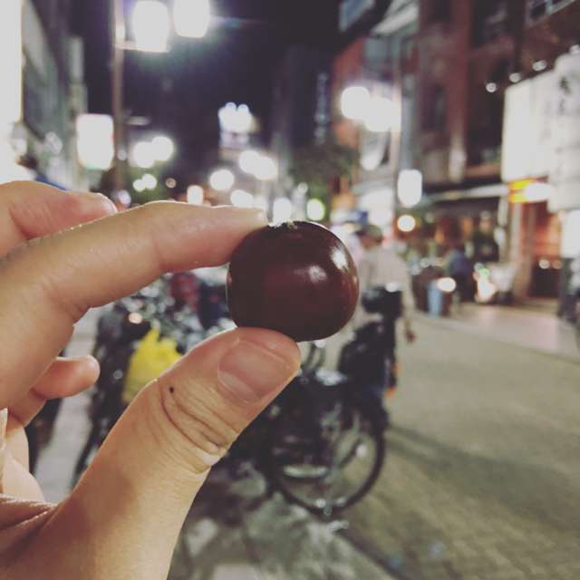 秋冬日本的栗子甜点大搜查