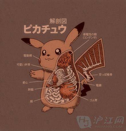 皮卡丘用的是直流电还是交流电?