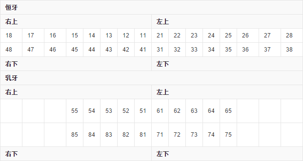 牙齿的象限和编号是怎样的