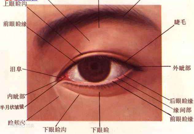 ps 如果楼主说的是内眼角的话   那个叫半月皱襞,是我们的正常结构.