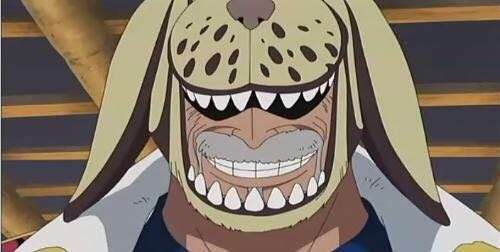 附 蒙奇.d.卡普帅照.