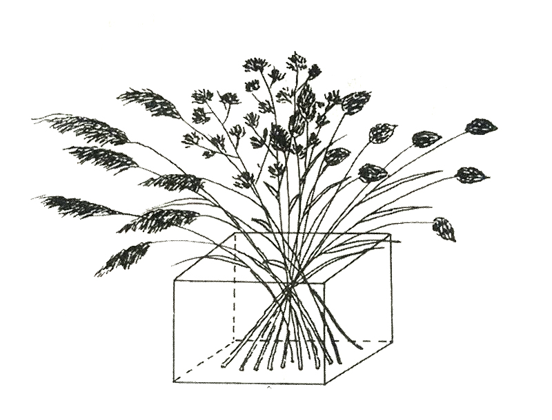 干花制作 1 立体干燥花 知乎