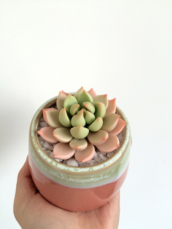 万能的粘土 只要你能想到的都可以做出来 知乎