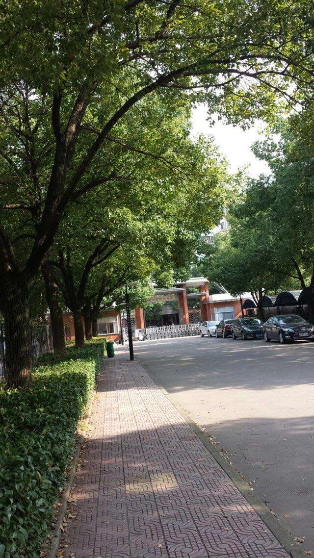 在浙江省诸暨中学就读是怎样的一种体验?