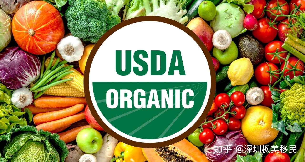 移民生活美国家庭开支明细账 知乎