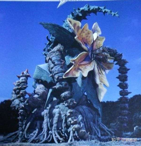 你在高中时听说过做过什么轰动全校的事