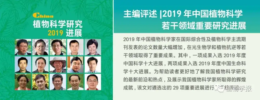 注目!! 細密な植物表現で「生」と「時間」を視つめる～亀山知英