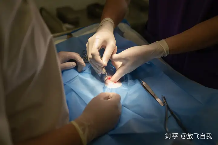 未来中国最赚钱的10大行业（中国未来10大暴利行业有哪些最赚钱的行业）