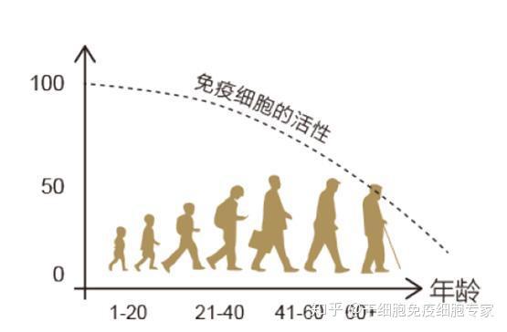 你了解免疫细胞储存吗到底有没有必要