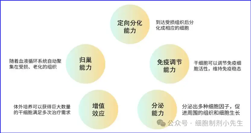 v2-016e7b7a705fc3a71c8e4005d4cf00c1_1440w.webp